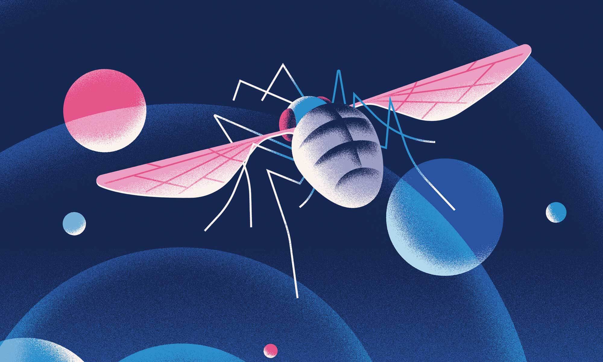 वैज्ञानिकों मापा जाता है मन के फल मक्खियों. लेकिन क्यों?
