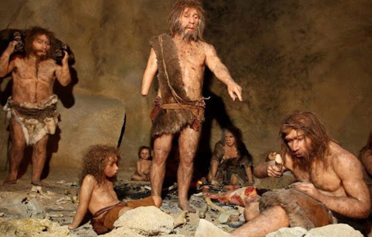 As the Neanderthals processed the skin, making it soft and water resistant