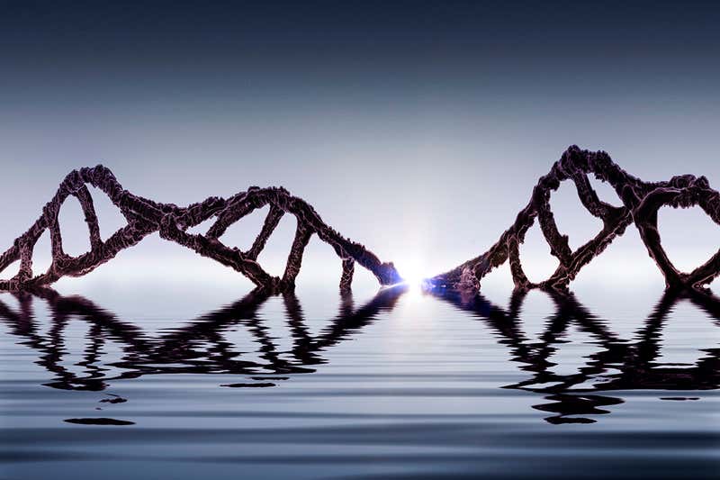 地球上の生命が表示された結果、ハイブリッド分子DNA-RNA