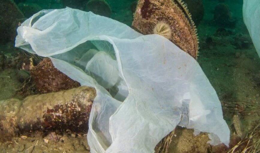 Що відбувається з пластиковими пакетами, викинутими в воду?