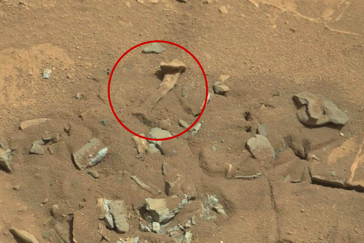 Na superfície de Marte é uma mentira 