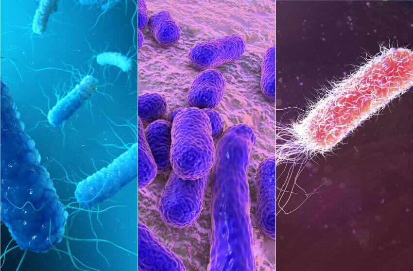 5 mais perigosos de bactérias