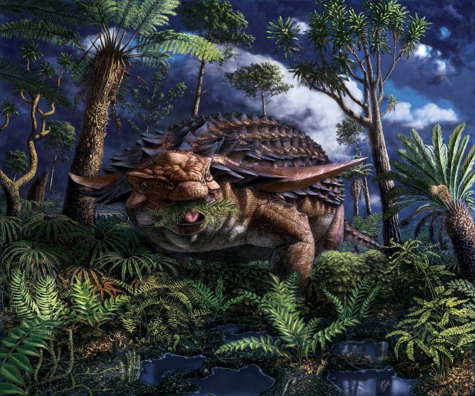 Вчені вивчили вміст шлунка динозавра — він дуже добре зберігся