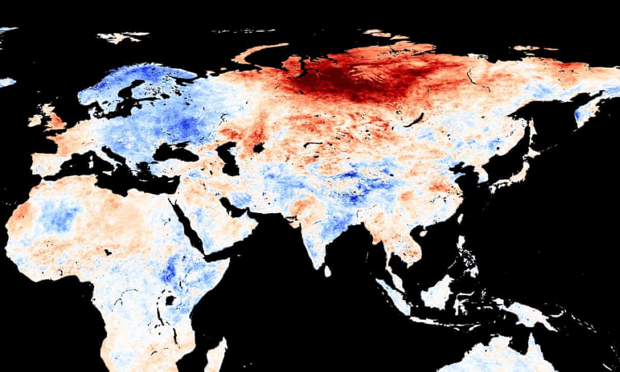 기후 학자에 대해 우려하는 비정상적인 열에 시베리아
