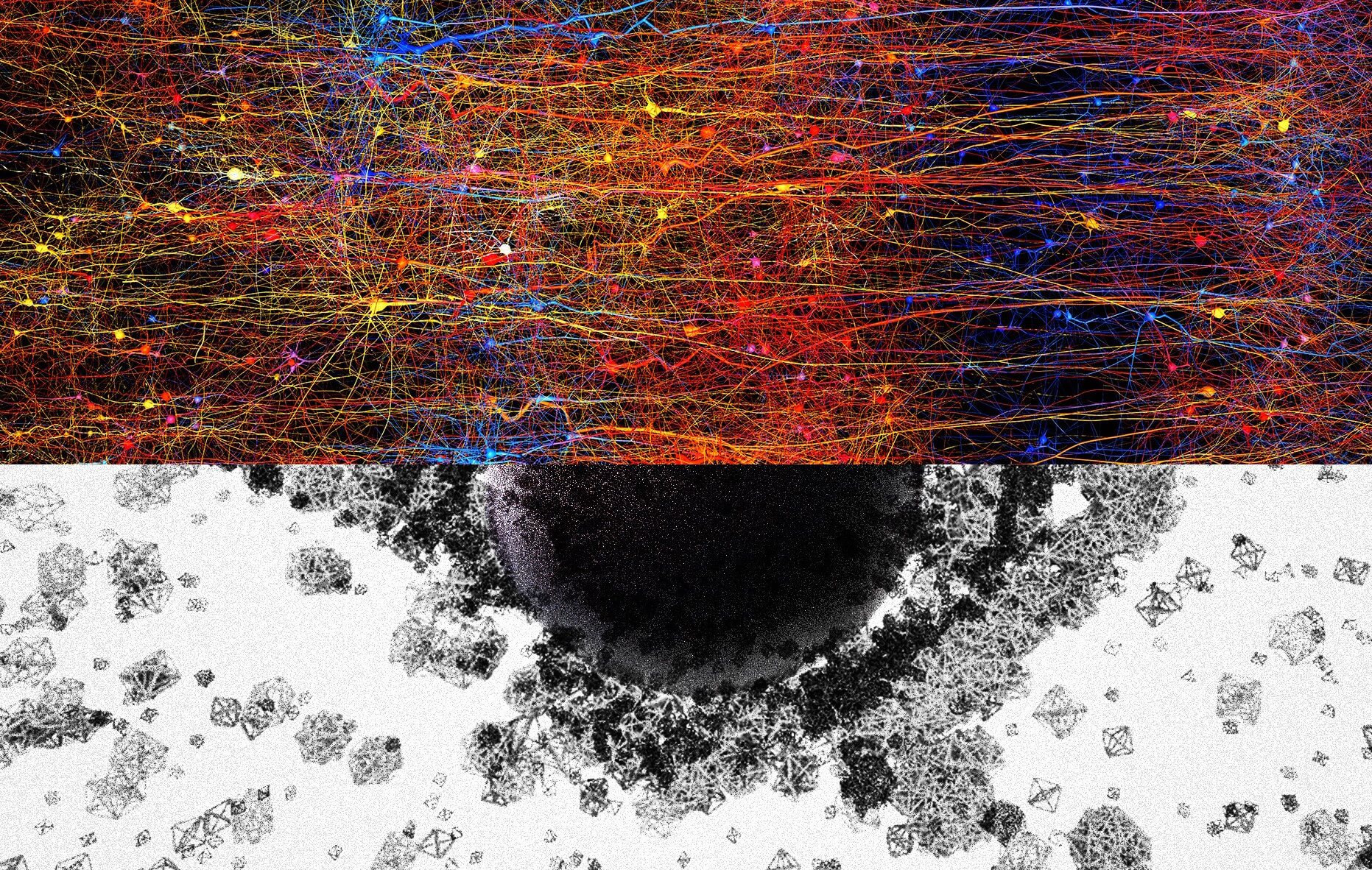 Das Gehirn baut seltsame Muster in 11 Dimensionen