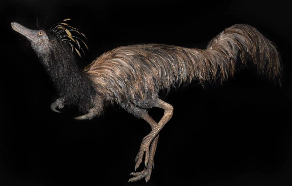 De la mano-ganchos: como el más inusual de los dinosaurios cazaban insectos?