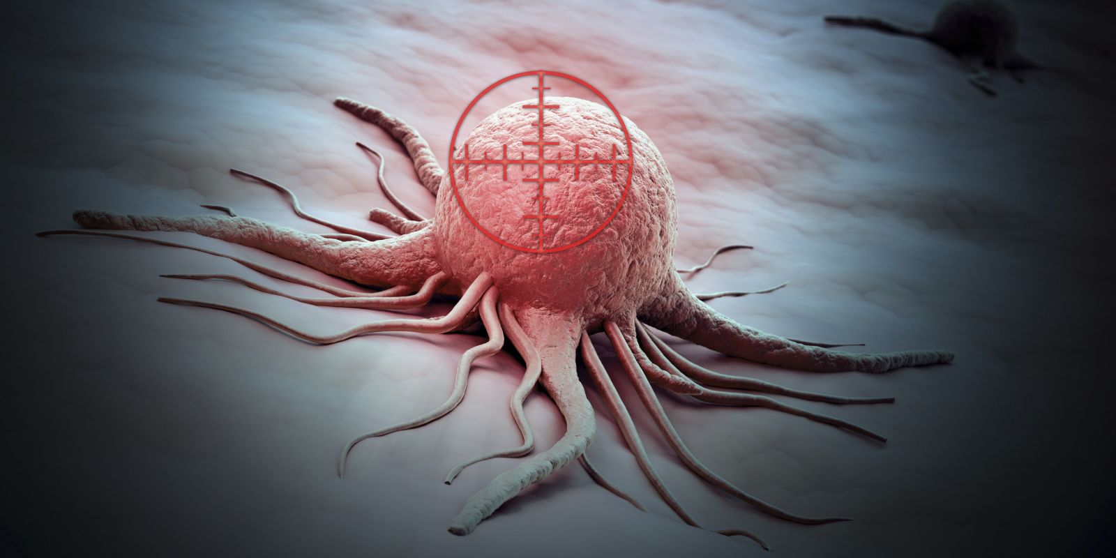 Found a way to destroy cancer cells, leaving healthy survivors