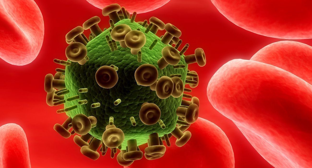 With the help of genetic engineering managed to eliminate HIV in animals