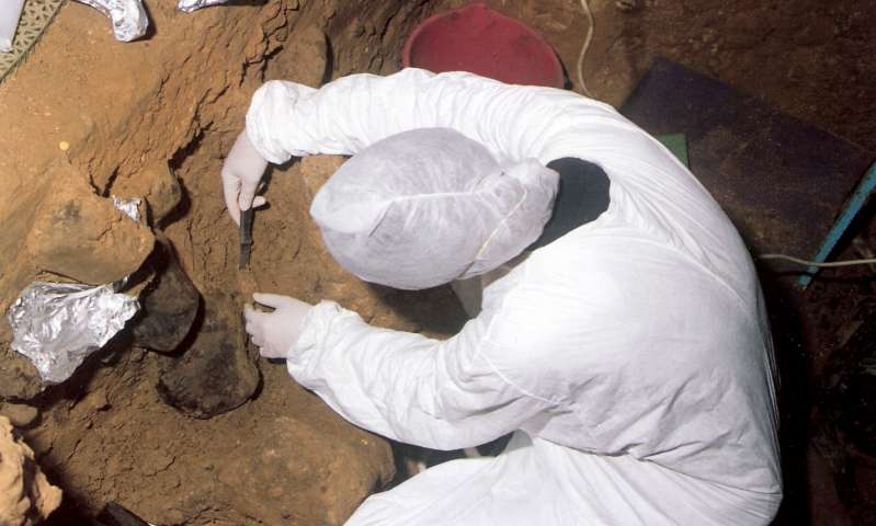 Archaeologists were able to detect DNA of our ancestors in sedimentary rocks