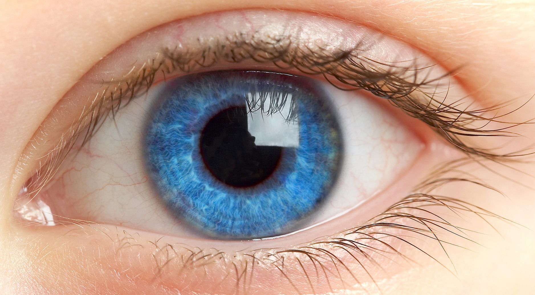 Finnish scientists have created an artificial iris of the eye