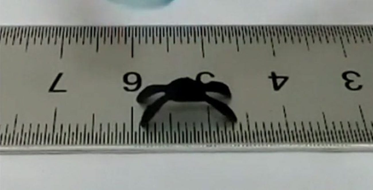 Graphene robot-spider, for whom the movement does not need electricity