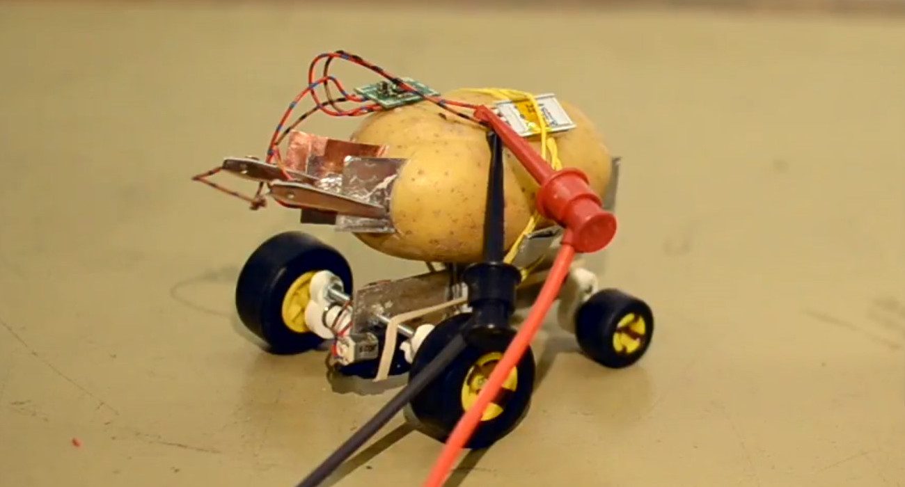 #video | Resident of Poland has built a self-driving robot of potatoes