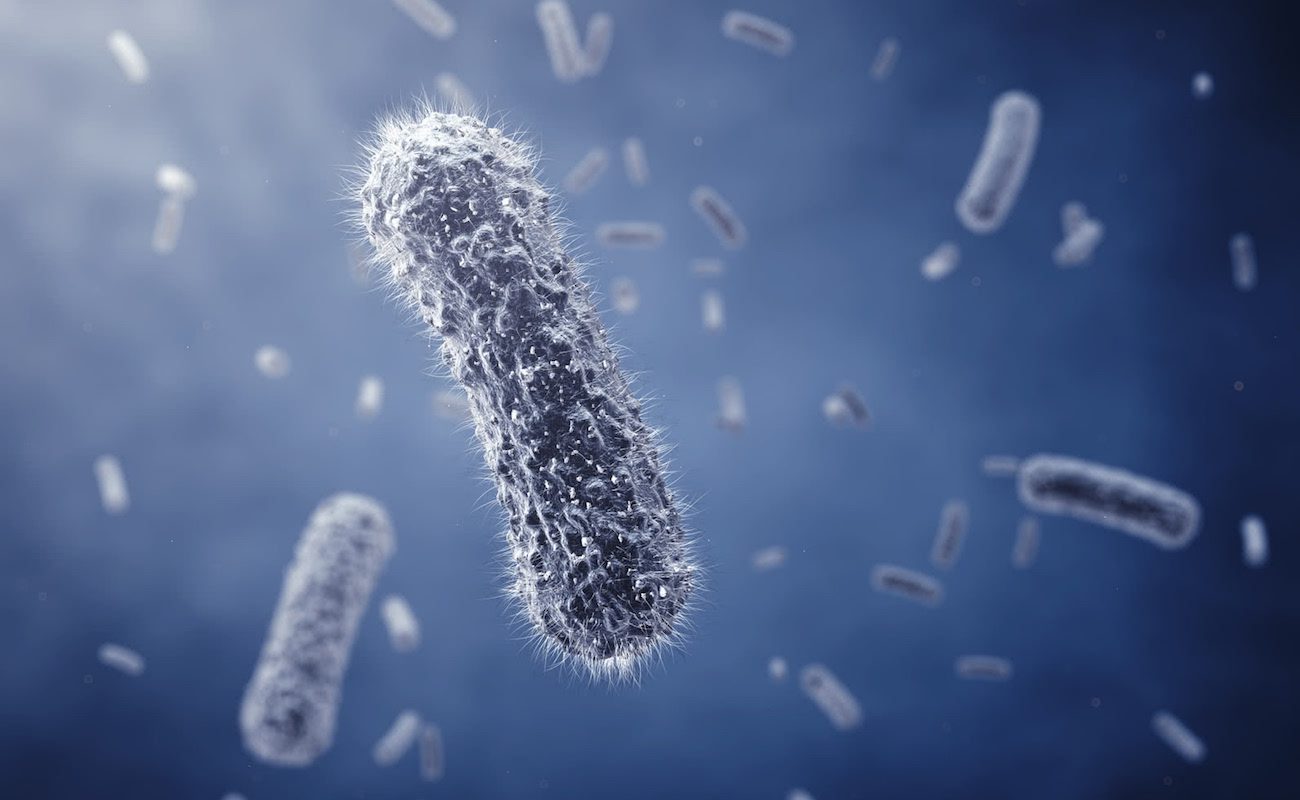 E. coli made the biocomputer