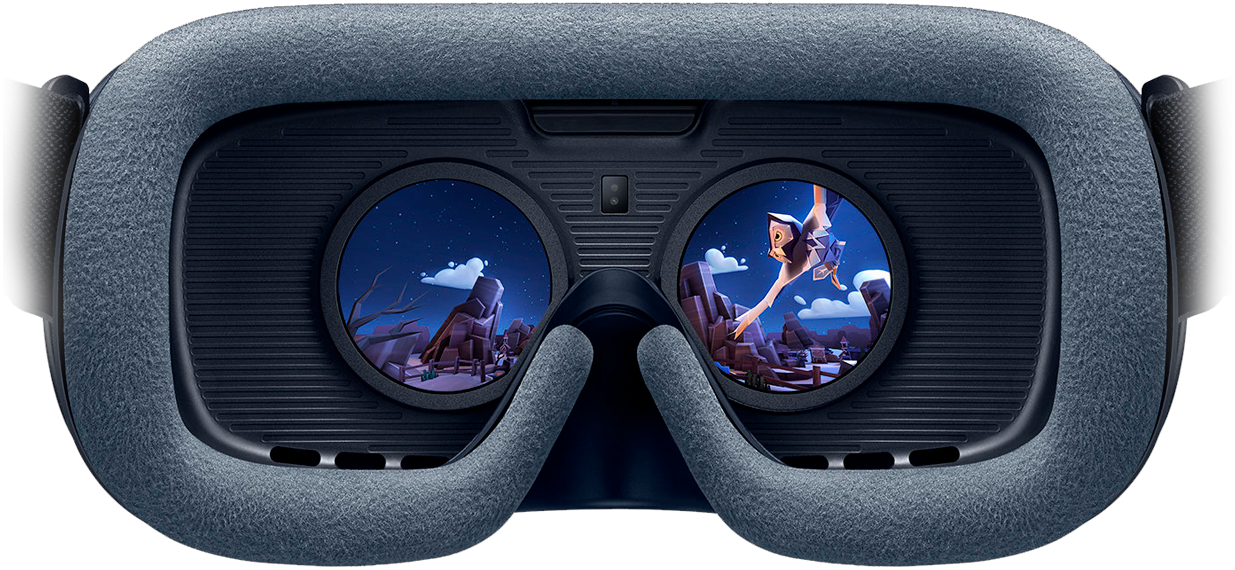 FreemoVR: virtual reality for animals