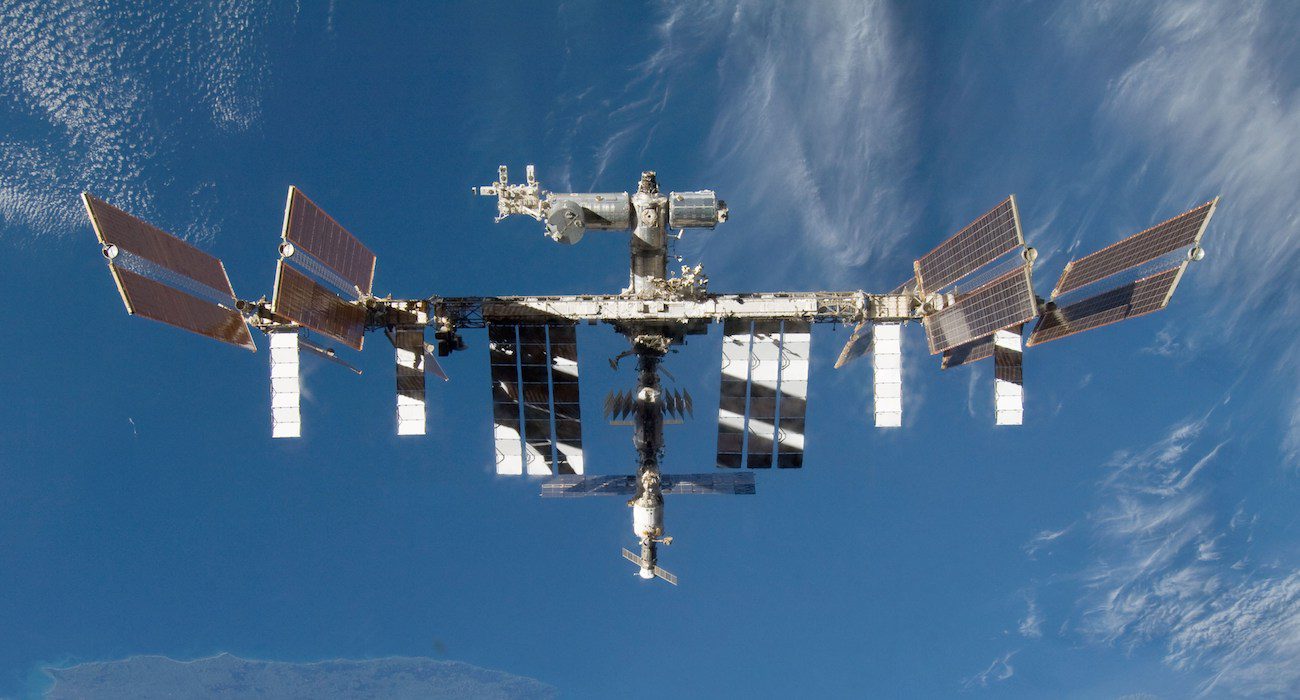 Bacteria grown on ISS were more tenacious than earth