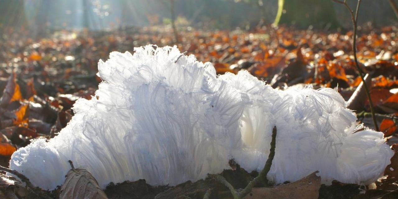 10 natural phenomena, whose existence you wouldn't believe