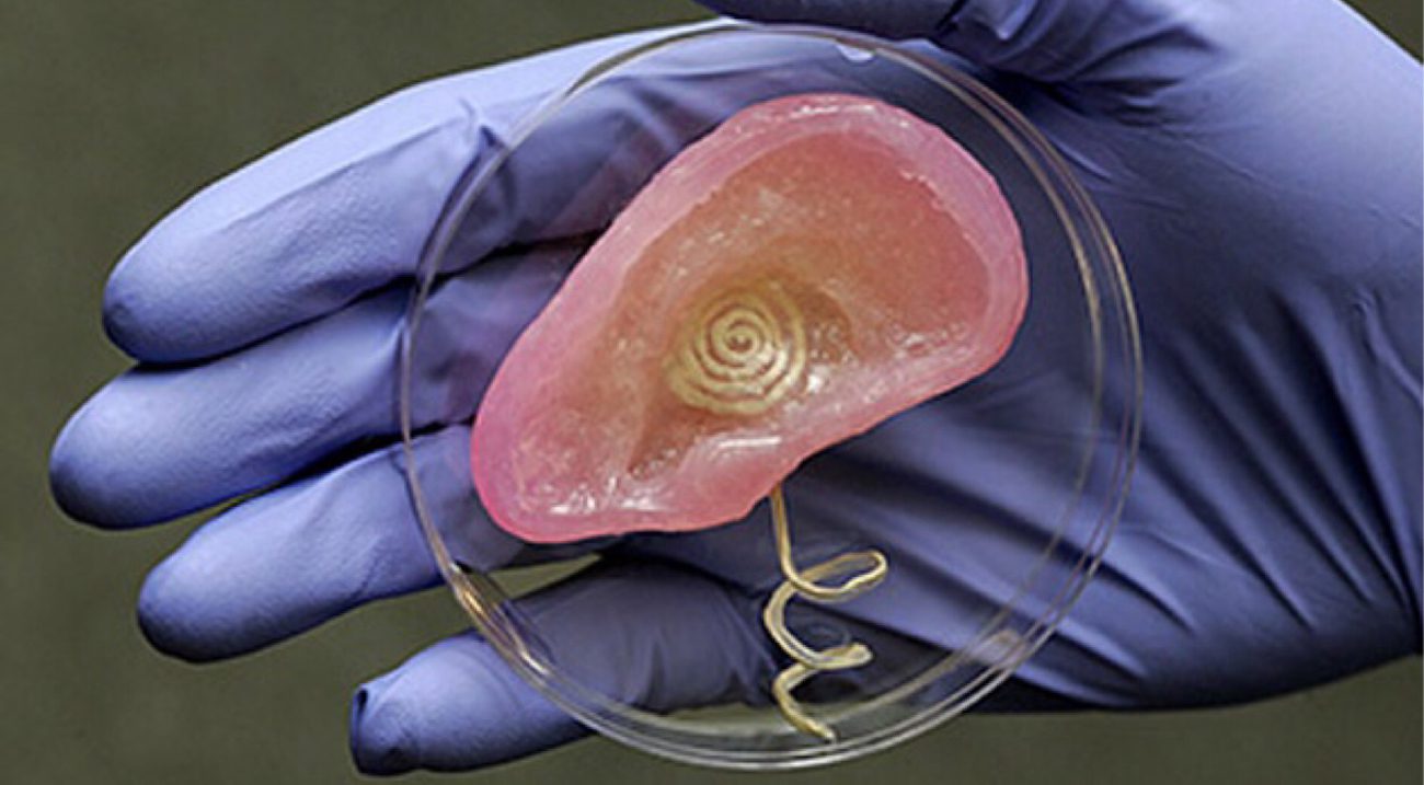 In Japan for the first time successfully transplanted tissue printed on a 3D printer