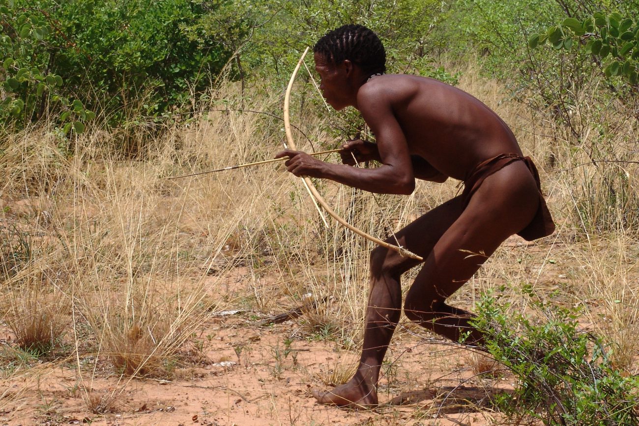 Africano veneno para as flechas, pode tornar-se um contraceptivo masculino
