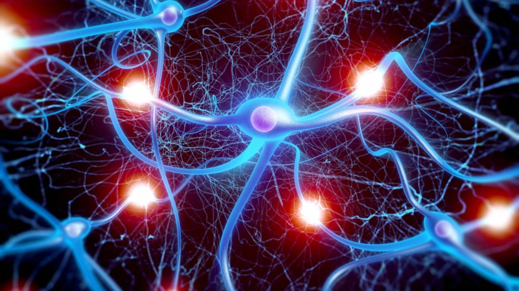 러시아의 과학자들은 배운 신경 네트워크를 정확성을 의심의 그들의 의사 결정