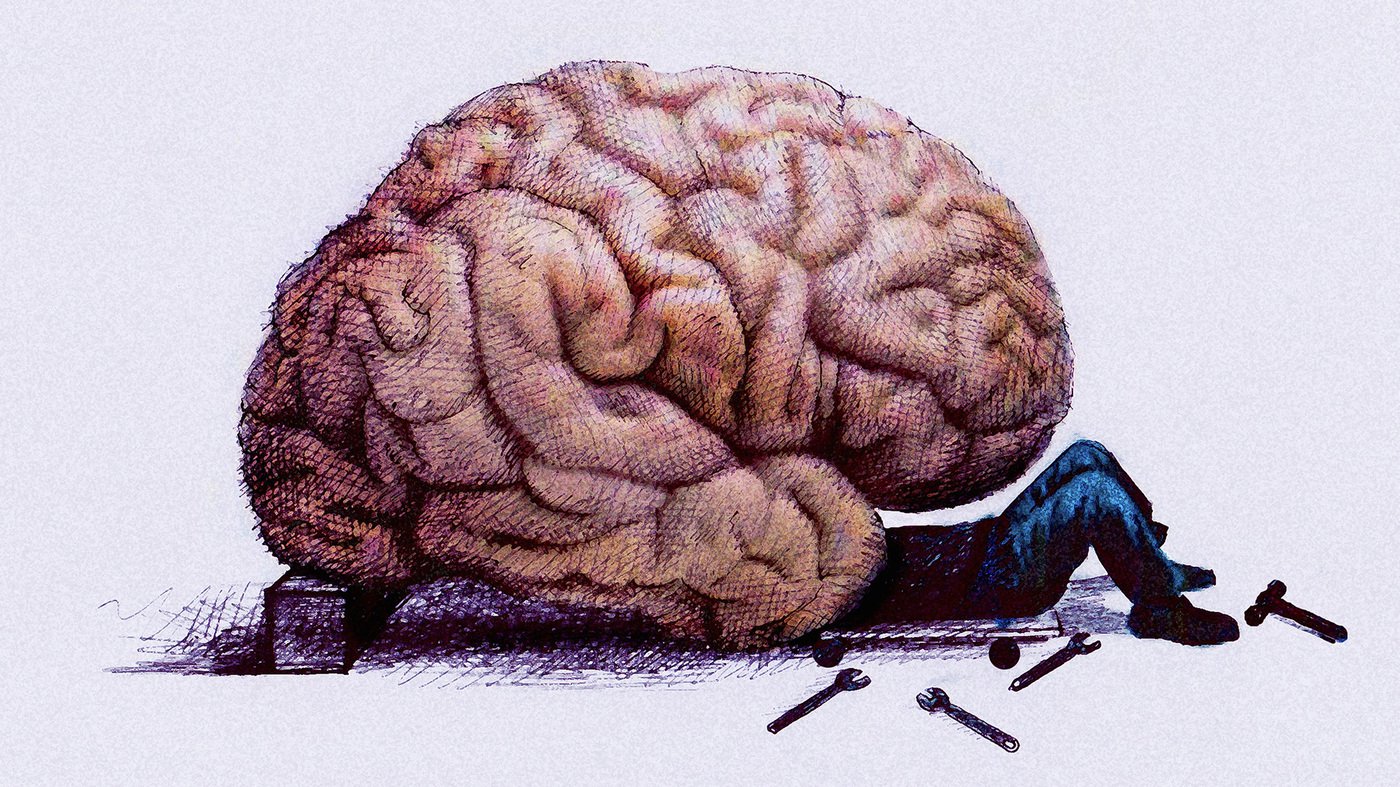 新算法已经给我们带来了一个充分模拟的大脑