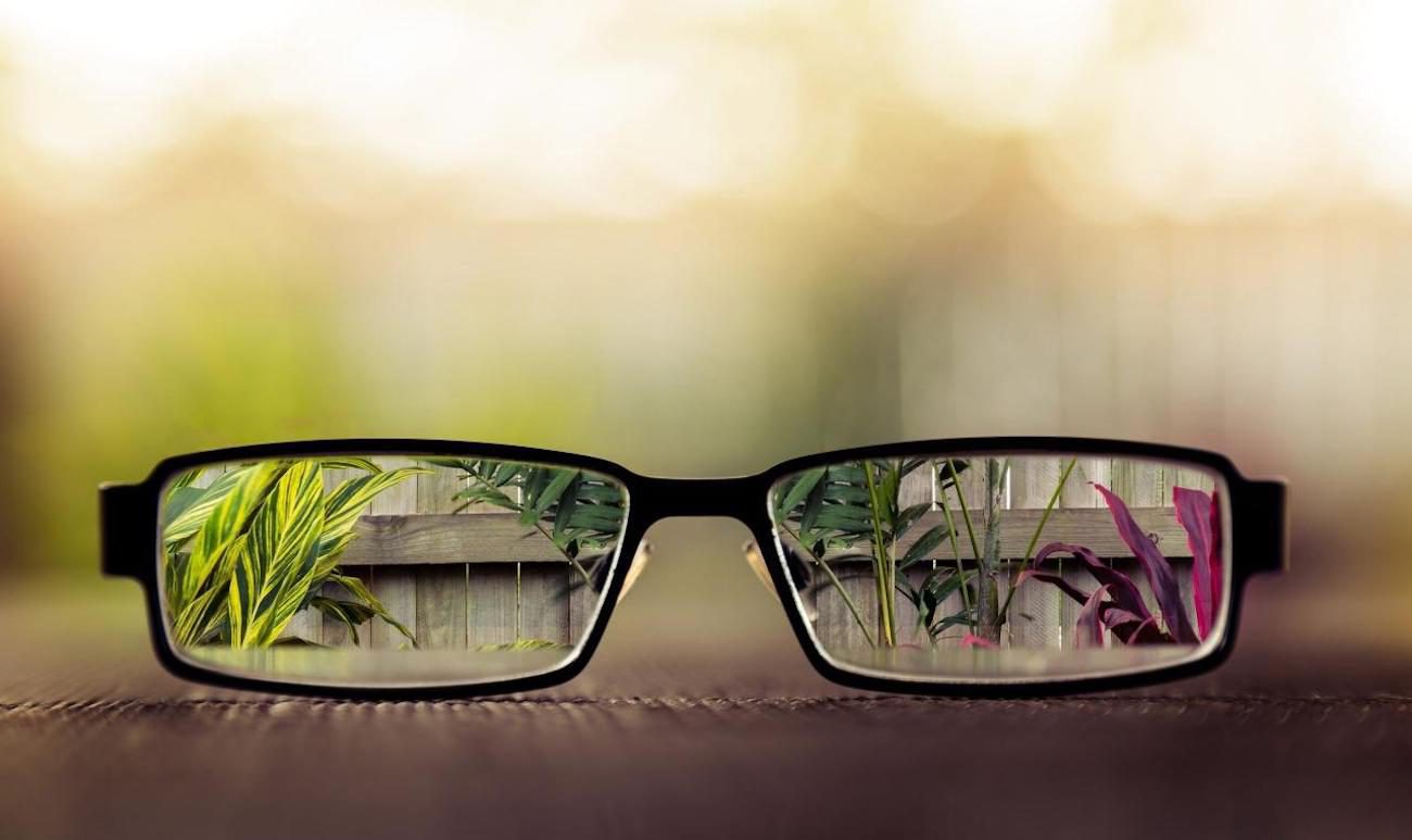 植入素层的视网膜有助于保持视觉
