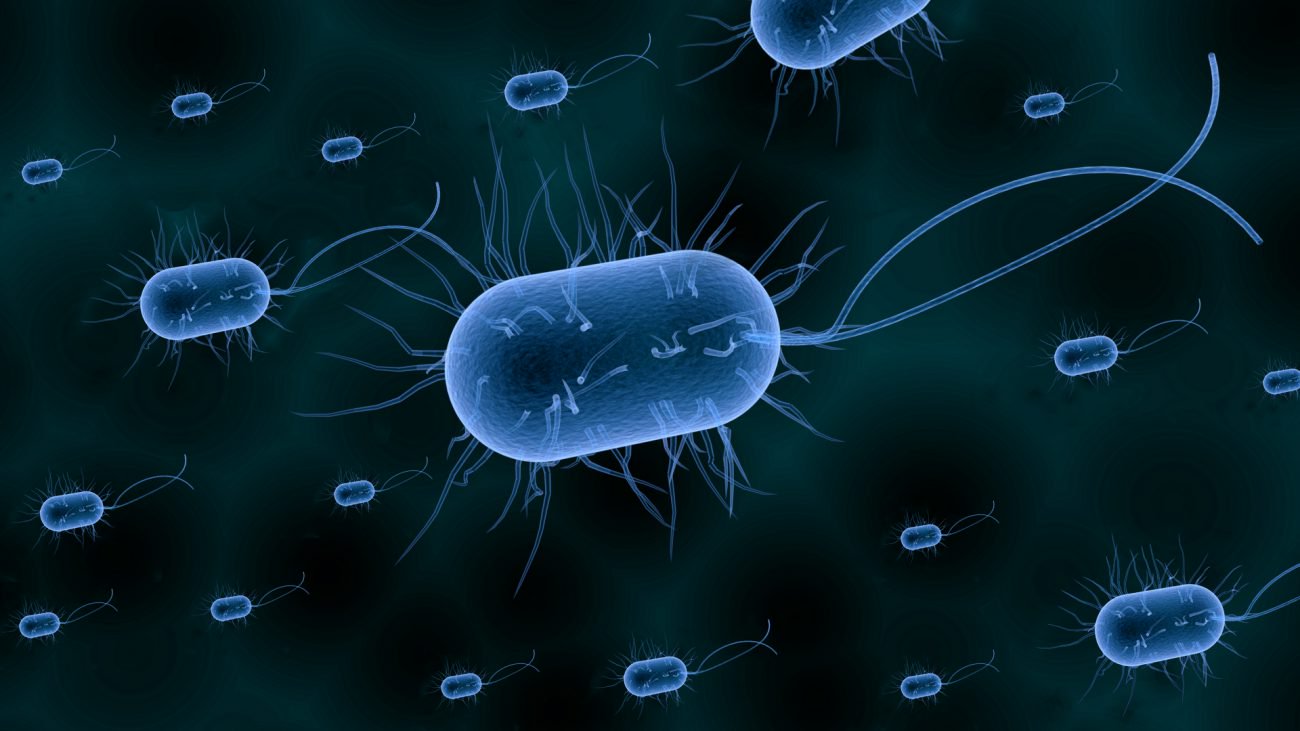 As bactérias descoberto um novo tipo de memória