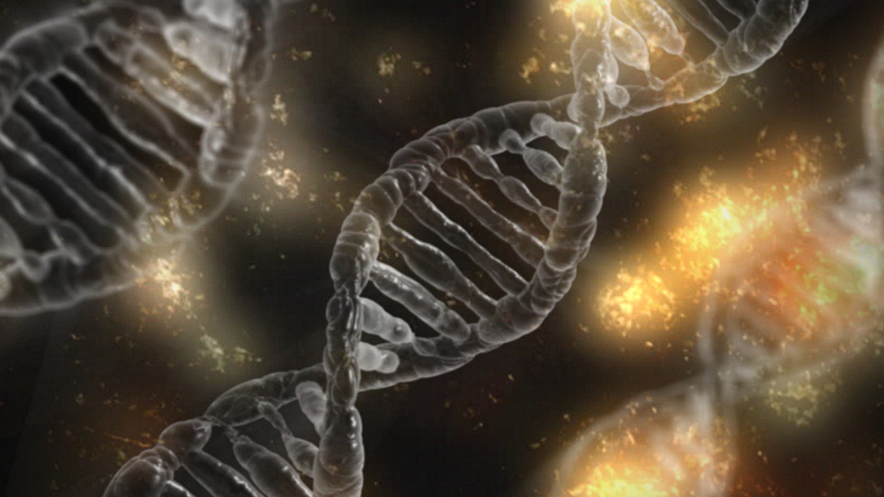 Biyologlar başardık «tamir» DNA tümör hücrelerinde