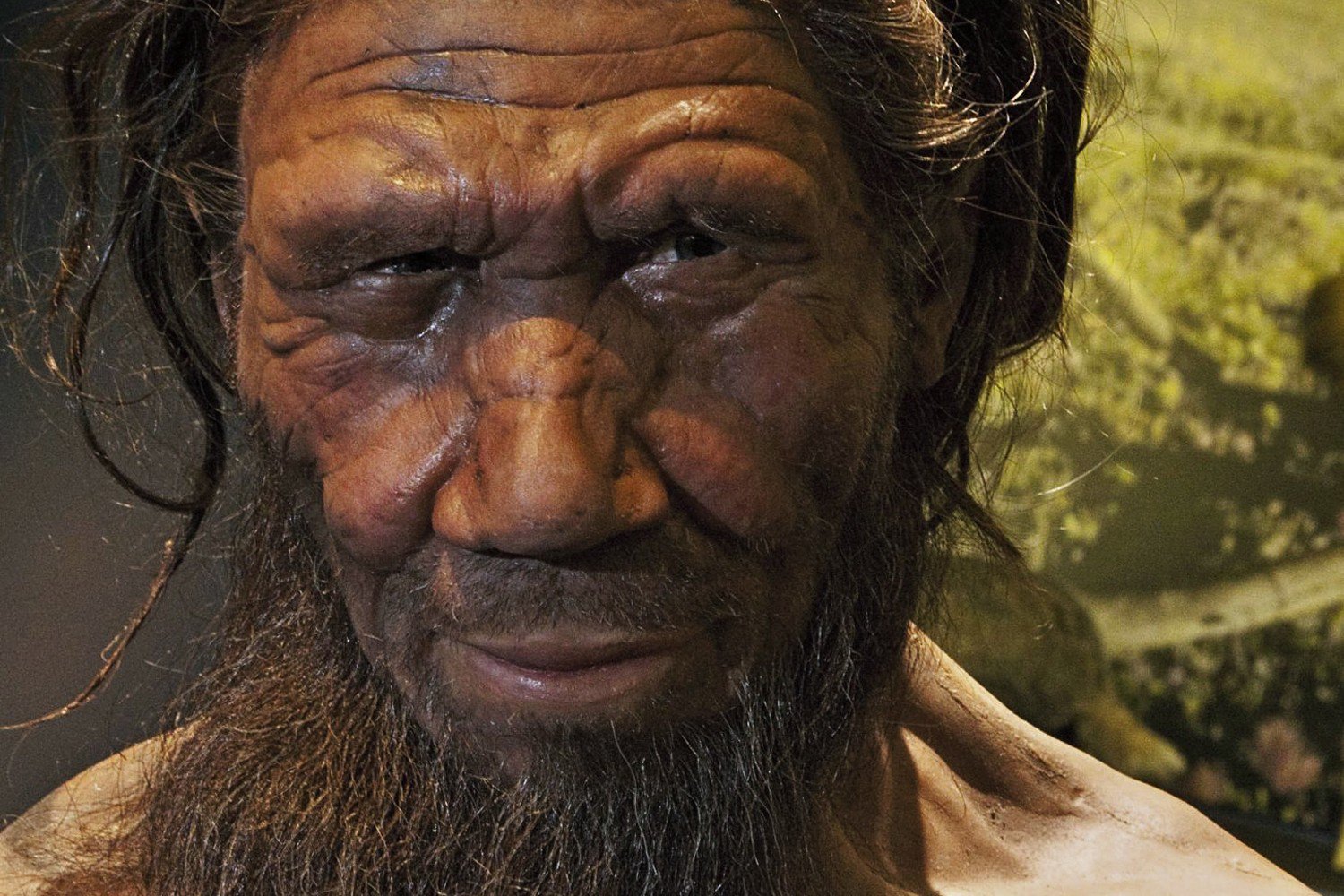 Live «mini-cervello» di neanderthal dirà che rende il nostro cervello speciale