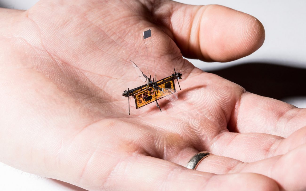 Robot-mucha, która otrzymuje energię bezprzewodowo