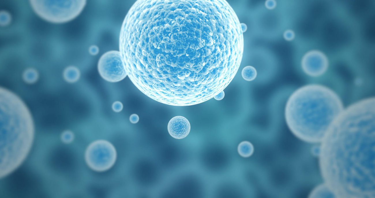 #filmy | Naukowcy pokazali, jak wygląda komórka macierzysta w 3D