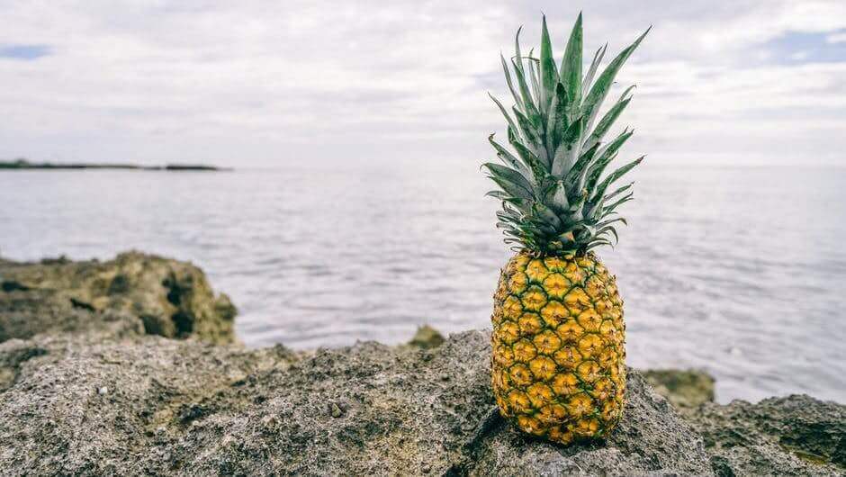 Pineapple Fund donated to charitable organizations $ 55 million in bitcoins