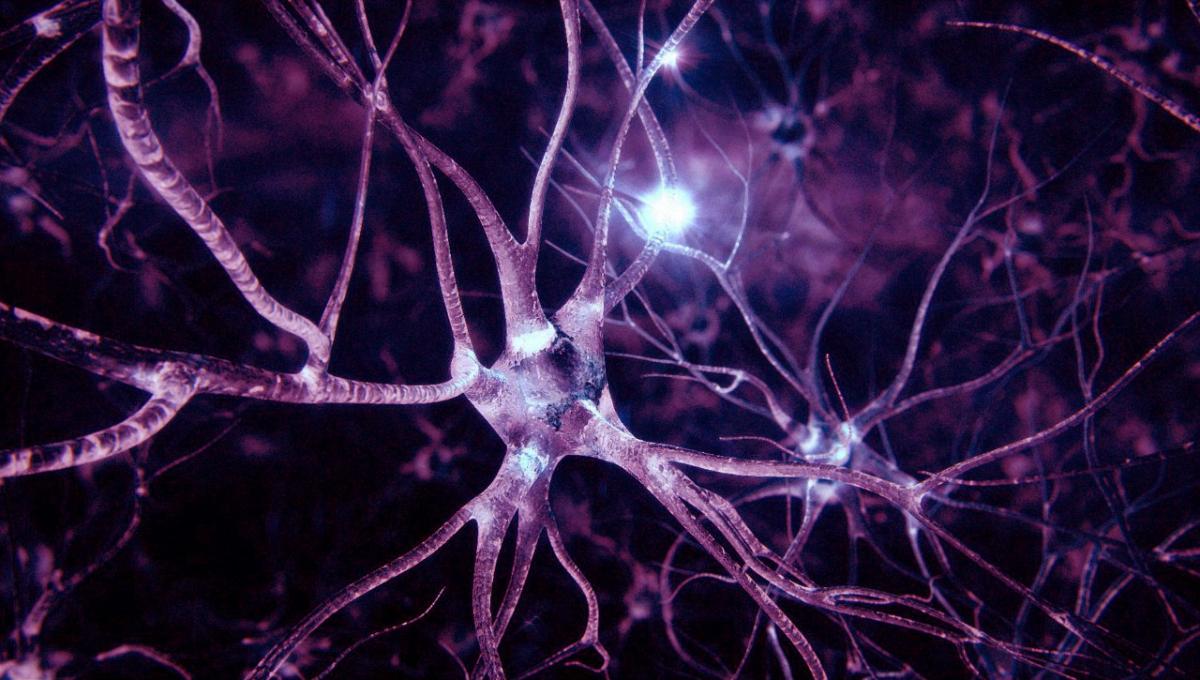Ärzte haben gelernt, wie die Nervenzellen erholen