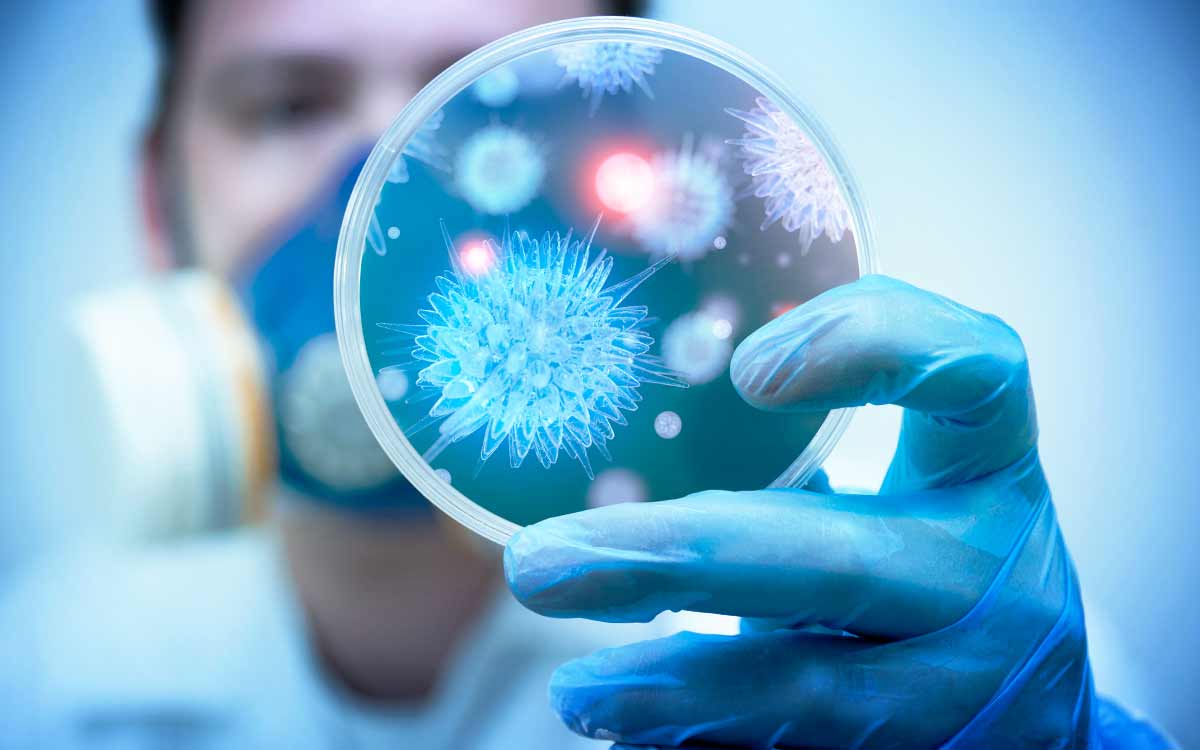 과학자가 결정된 기능의 바이러스의 원인이 될 수 있는 전염병