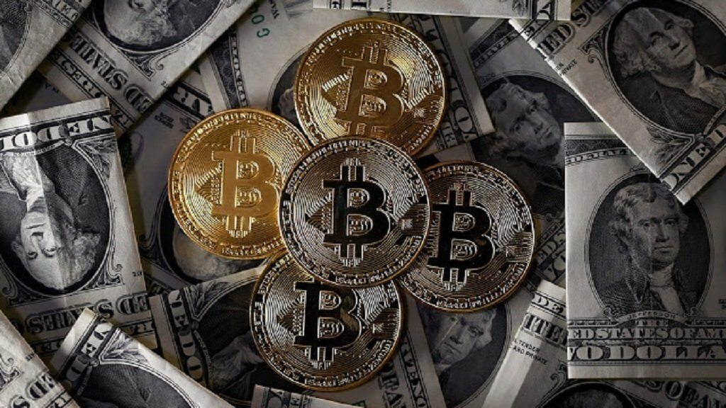 La floride permettra de payer des impôts dans Биткоине et Bitcoin Cash