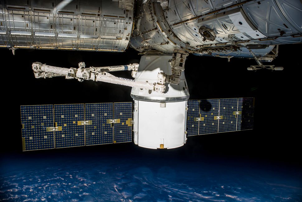 La cura per il cancro, le alghe e il mouse: che ancora inserito sulla ISS nell'ambito della futura missione?