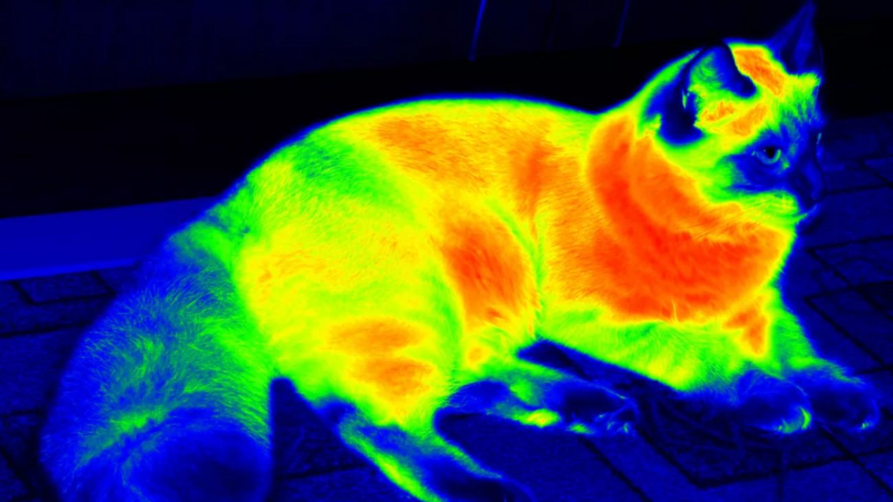 Nowy метаматериал może ukryć się od kamer termowizyjnych
