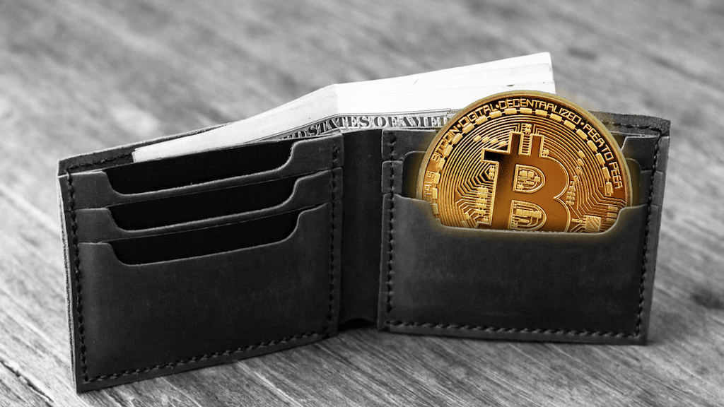 Araştırma: 1600 yatırımcılar kendi neredeyse üçüncü varolan tüm Bitcoins