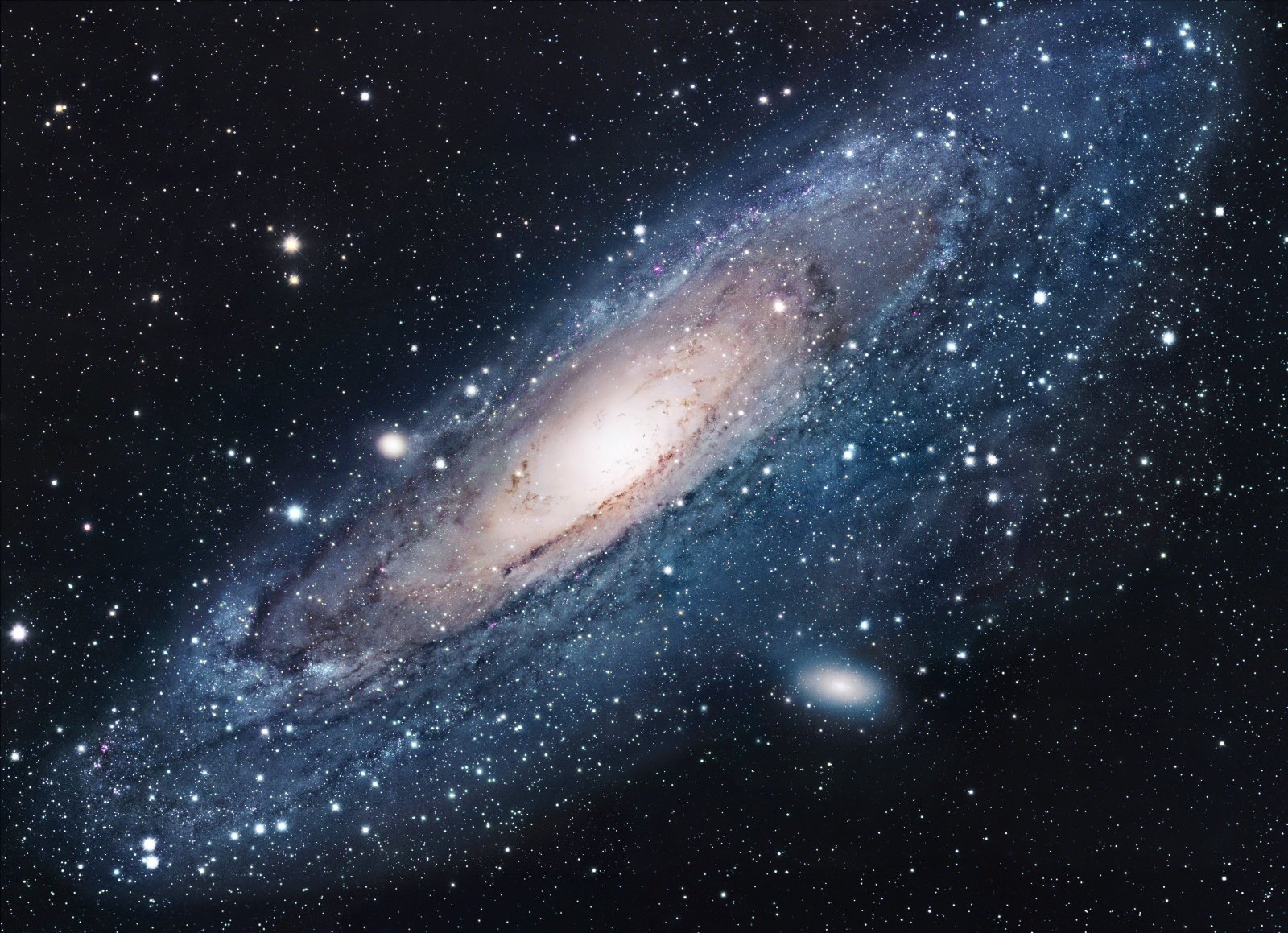 The Andromeda galaxy eaten by the sister of our milky Way
