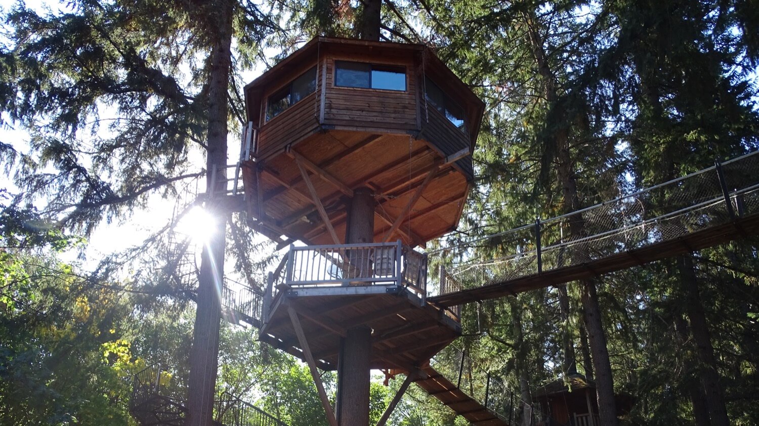 Tour of the tree houses built by the company Microsoft