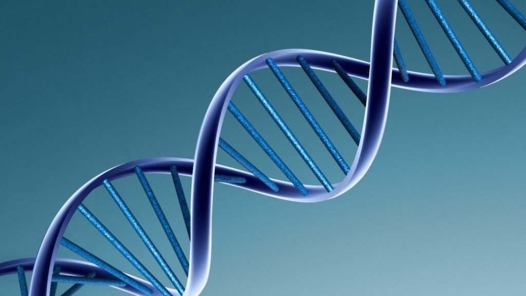 Start Carverr bietet die Speicherung privater Schlüssel in Reagenzgläsern mit DNA. Was ist der Haken?