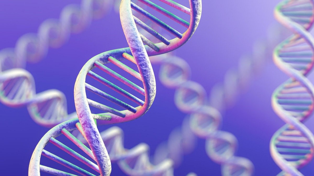 शुरू की सबसे महत्वाकांक्षी परियोजना मानव डीएनए अनुक्रमण