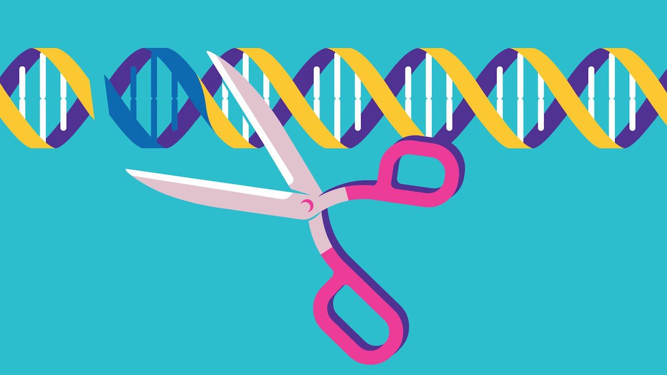 A new modification of the CRISPR can edit up to 50 percent of the genome