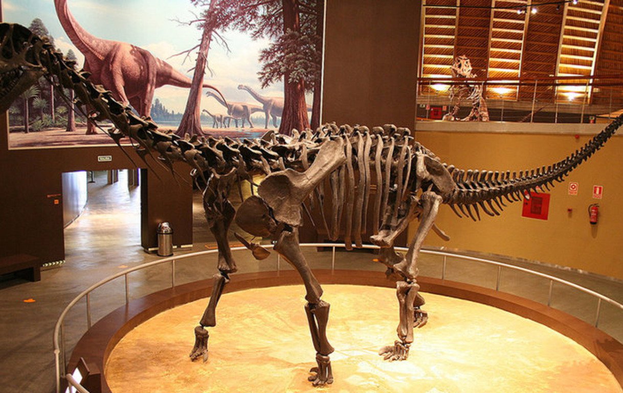 In Südafrika fanden die überreste eines der größten Dinosaurier der Jurazeit