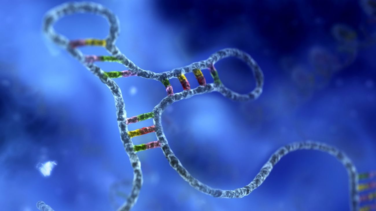 RNA was much more important than we thought