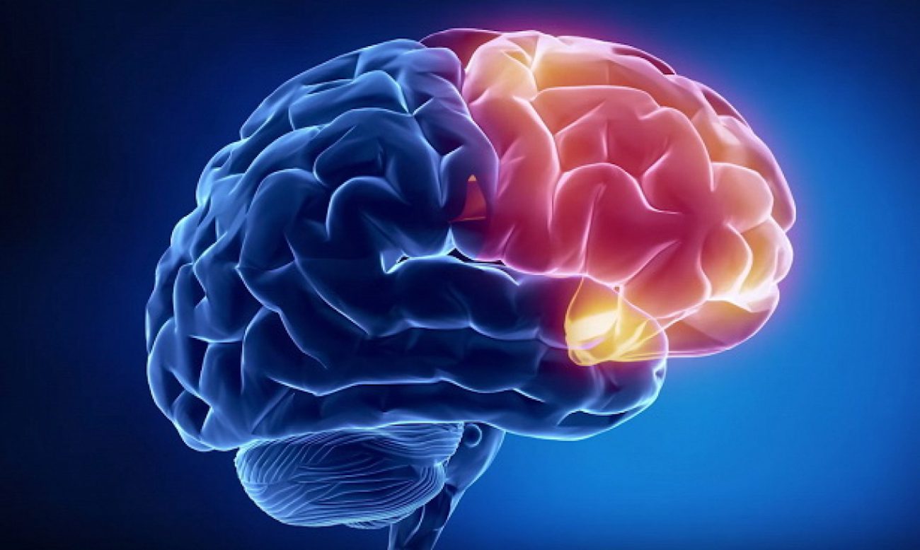 «Soğutma» beyin — yeni bir yöntem ile mücadelede Parkinson hastalığı