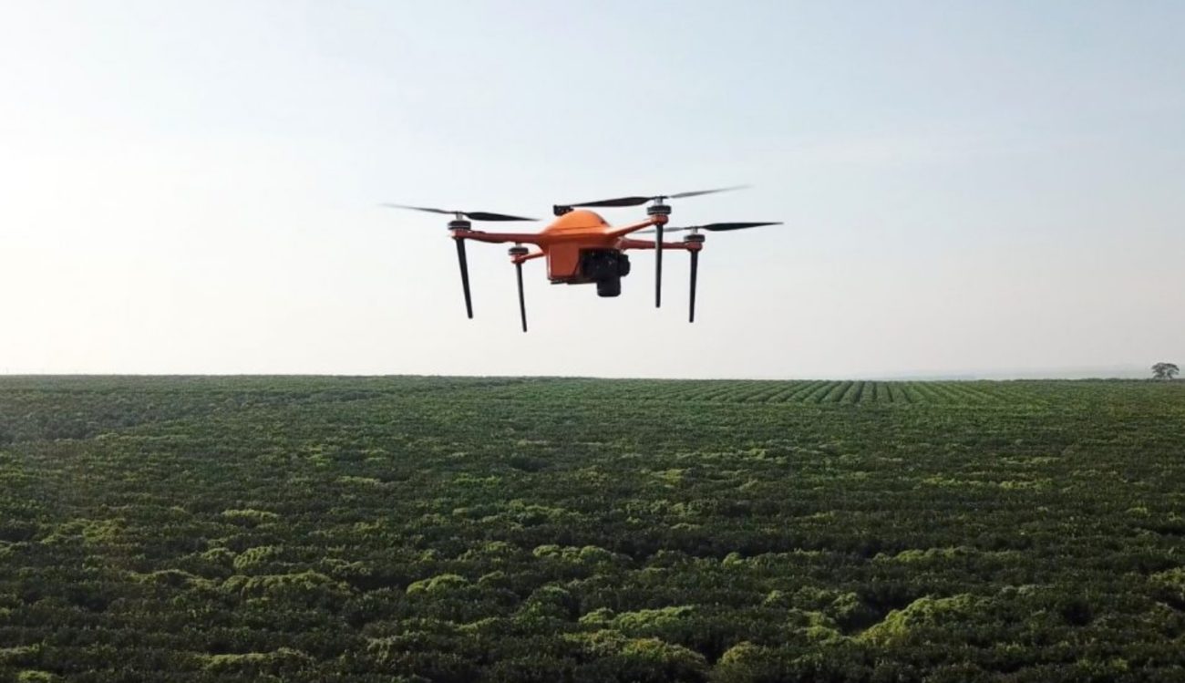 Artificial intelligence and drones will help to monitor the farms at the micro level