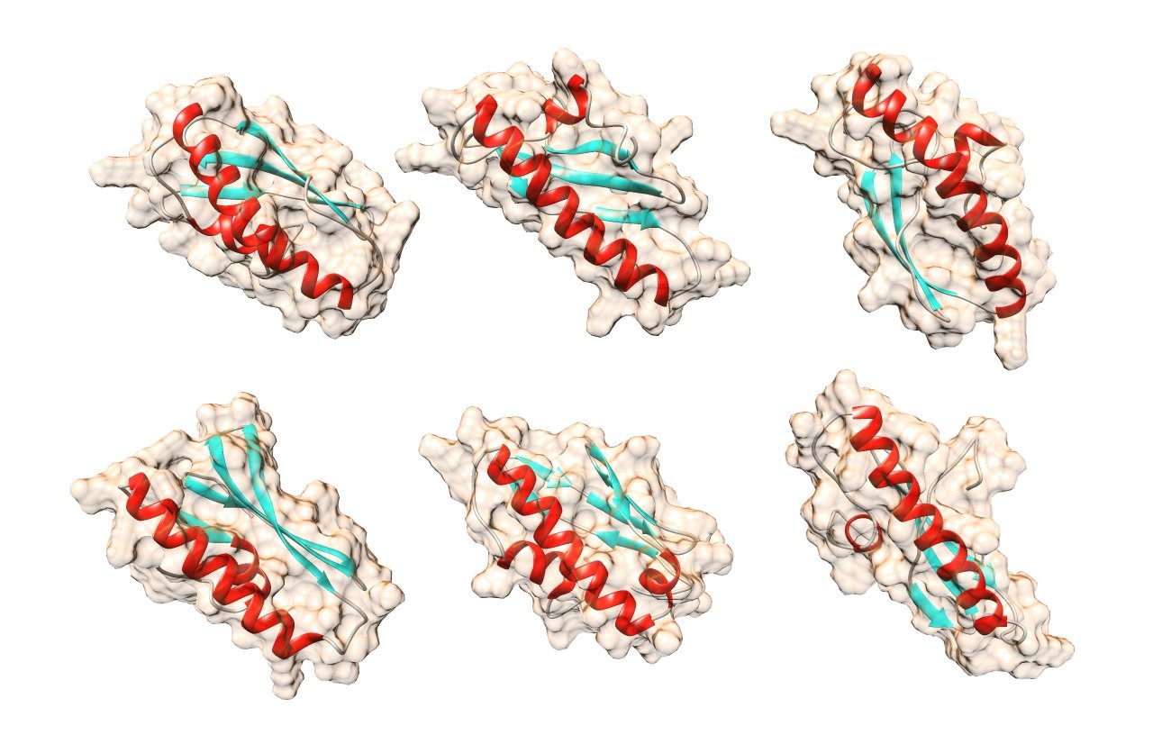 Yeni kurulan teknoloji toplu sıralama protein