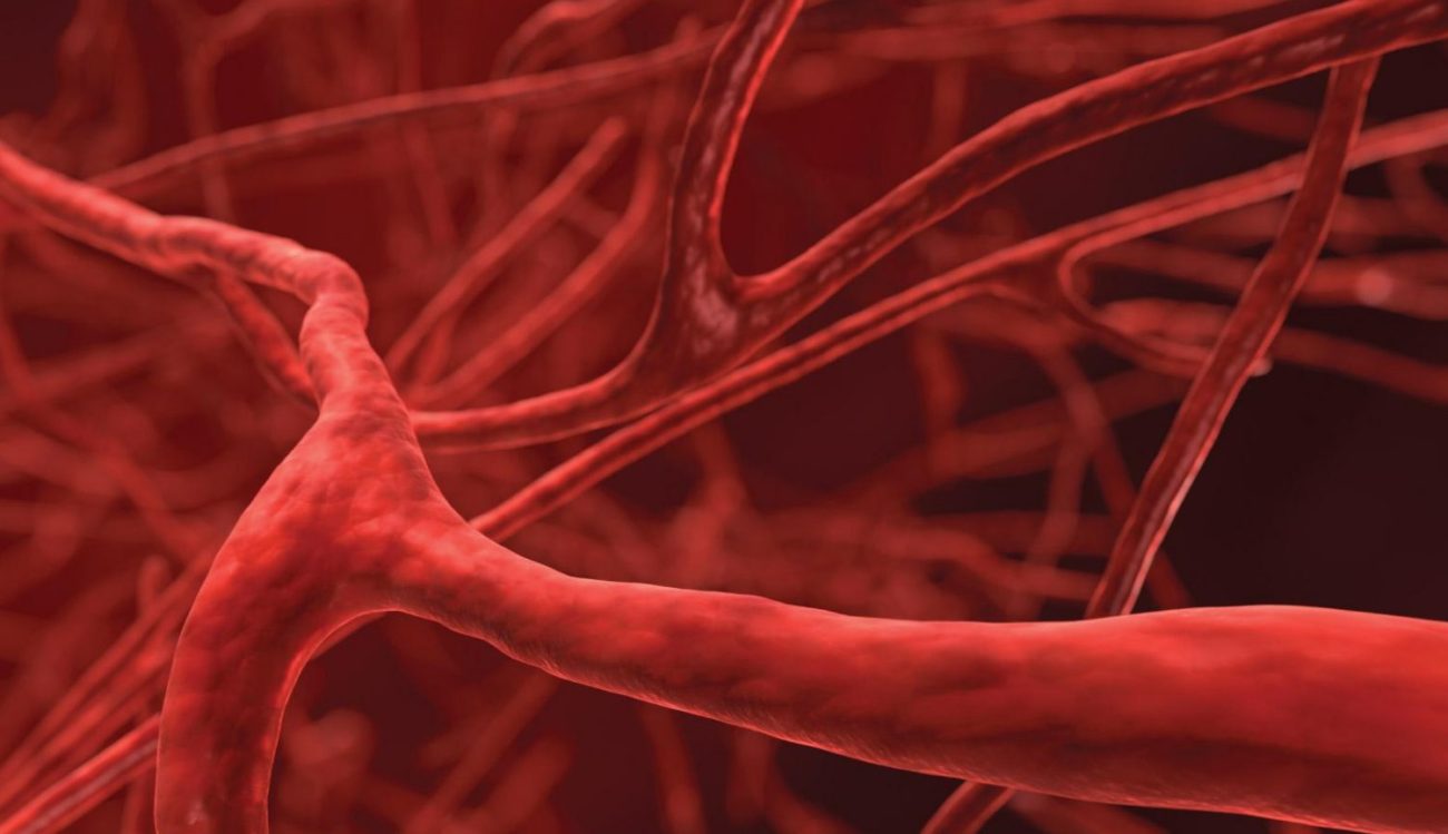Em ossos humanos encontrados anteriormente desconhecido o tipo de vasos sanguíneos