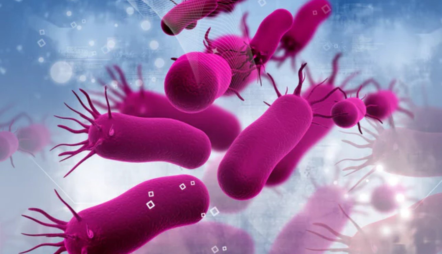 ज़ोंबी मोड: वैज्ञानिकों की खोज की है एक नए राज्य के बैक्टीरिया