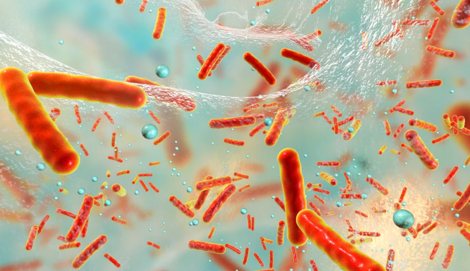 ثبت: البكتيريا للتضحية بأنفسهم لحماية المستعمرة من المضادات الحيوية